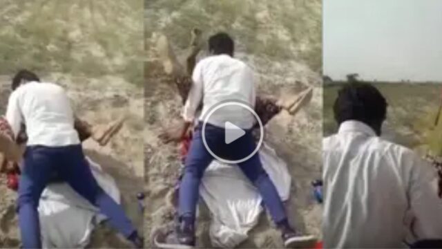 Rajasthani salesman fucking randi muslim bhabhi, outdoor mms Leaked